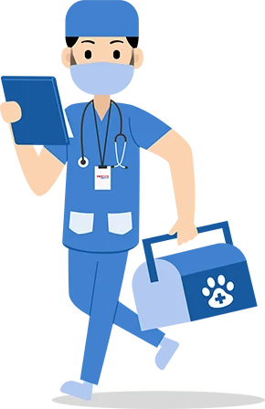 AVATAR VETPETS 3
